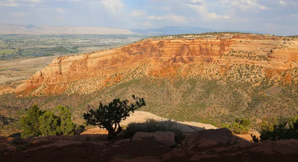 Silhouette Pinion Pine North End Wedding Canyon Grand Junction Background — Stock Photo, Image