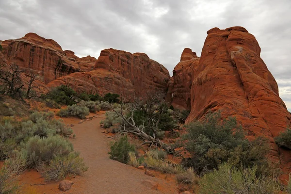 Plano Nublado Del Sendero Devils Garden Parque Nacional Arches Utah —  Fotos de Stock