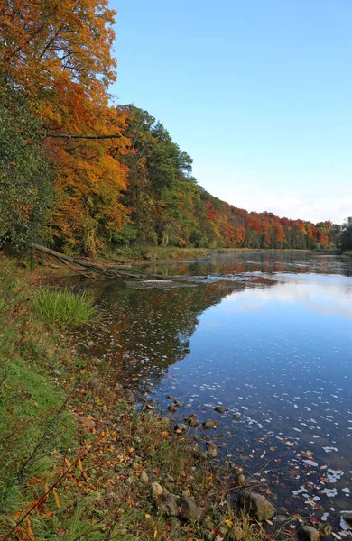 それを反映して秋の色とグランド川 キッチナー オンタリオ州 カナダで撮影します — ストック写真