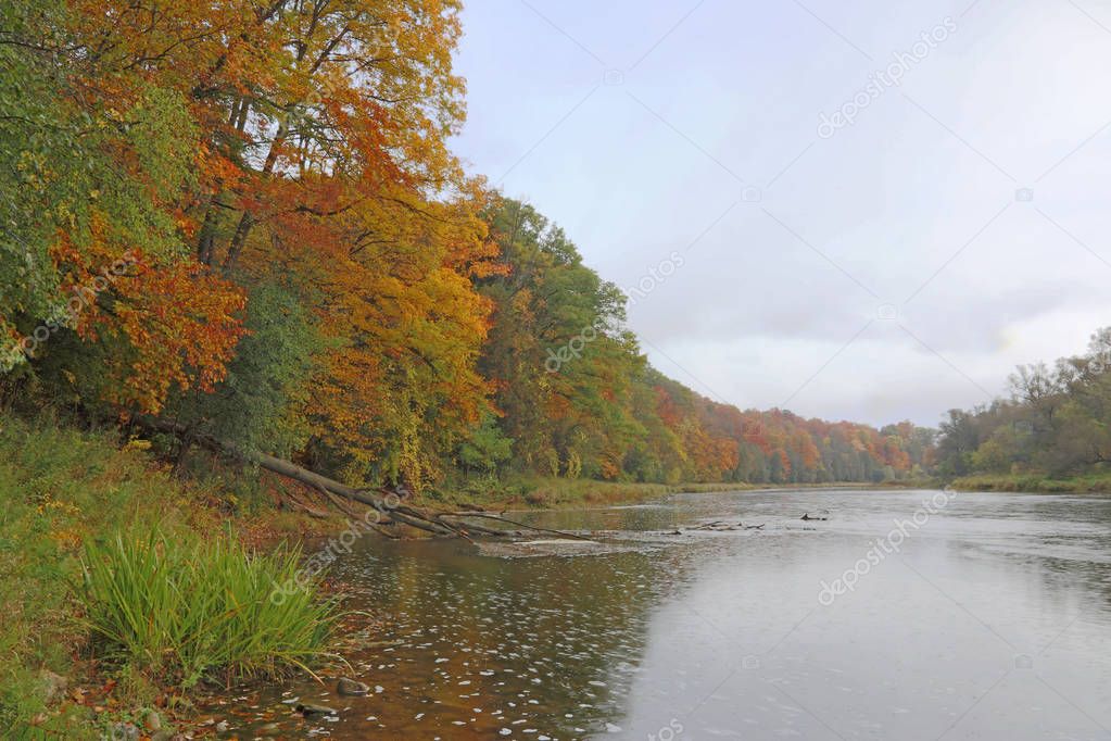 The Grand River with the fall colours in the rain. Shot in Kitchener, Ontario, Canada.