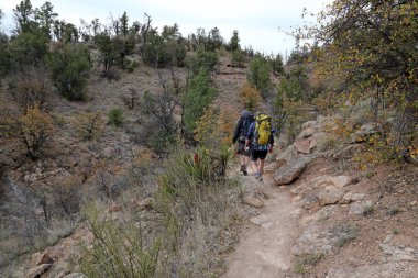 Gila National Forest'ta yürüyüş düzenleyen iki yürüyüşçü, New Mexico, ABD.