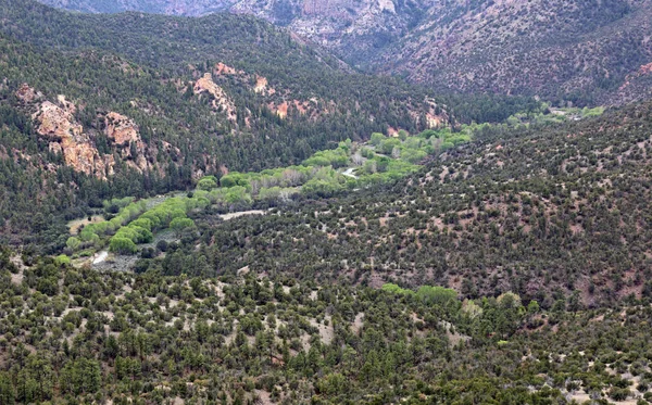 Över Gila River Slingrande Dalen Gila National Forest Sköt Strax — Stockfoto