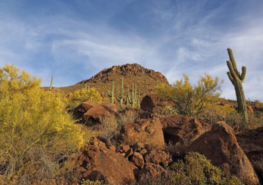 Tuscon, Arizona 'nın batısındaki Gates Geçidi' nden güneye bakıyorum..