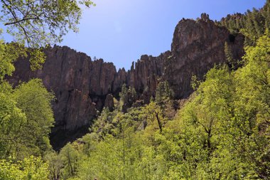 New Mexico 'daki Gila Ulusal Ormanı' ndaki Orta Çatal Gila Nehri 'nin üzerindeki küçük ayı kanyonu duvarları..