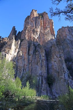 New Mexico 'daki Gila Ulusal Ormanı' ndaki Orta Çatal Gila Nehri 'nin üzerindeki küçük ayı kanyonu duvarları..