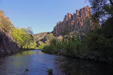 Orta Çatal Gila Nehri, Gila Ulusal Ormanı, New Mexico.
