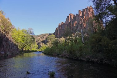 The Middle Fork Gila River, in the Gila National Forest, New Mexico. clipart