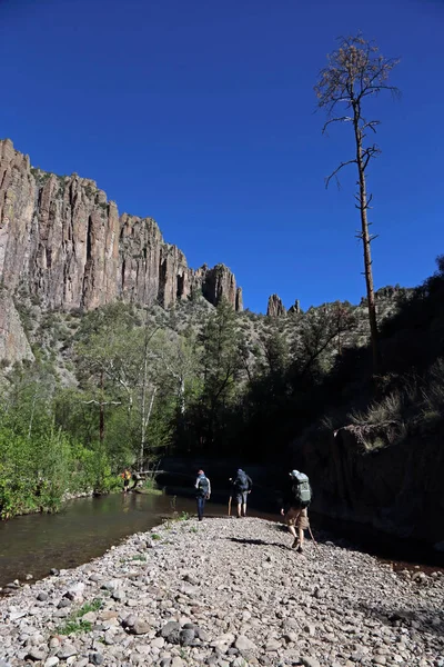 Cuatro Excursionistas Caminan Través Del Río Middle Fork Gila Bosque — Foto de Stock