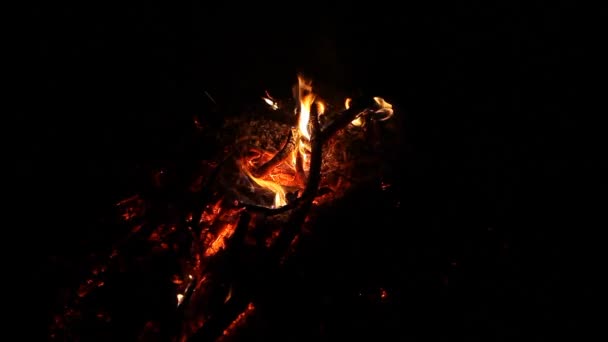 熱い燃焼火災木材石炭 火災の残り火とくすぶっている輝いている大きな暖炉の灰のクローズ アップ — ストック動画