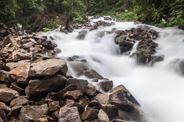 Fast Rapid Mountain Stream Torrent Rain — Stock Photo, Image