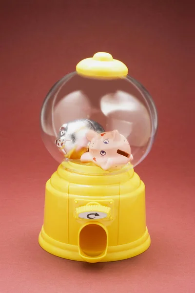 Miniature Piggybanks Bubblegum Machine Red Background — Stock Photo, Image