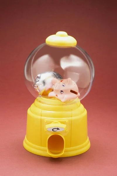 Miniature Piggybanks Bubblegum Machine Red Background Stock Picture