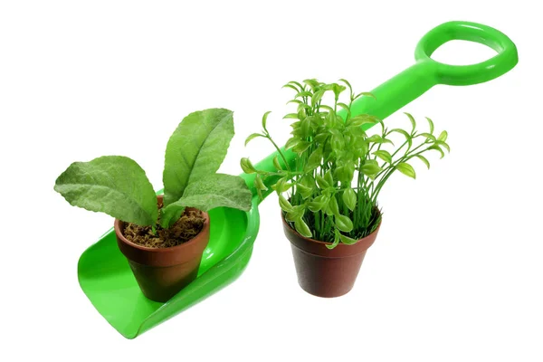 Toy Spade Pot Plants White Background — Stock Photo, Image