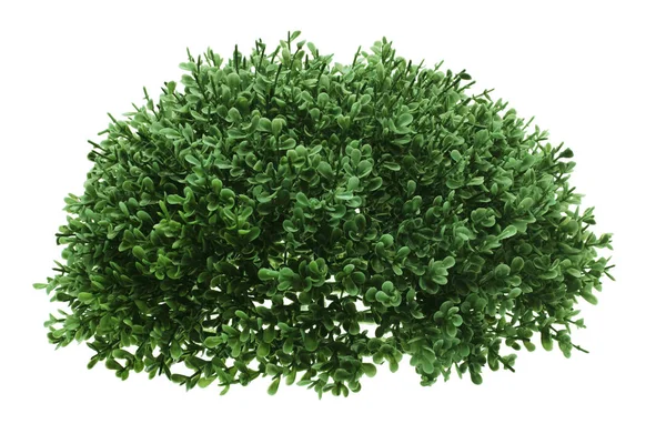 Artificial Green Shrub — Stock Photo, Image