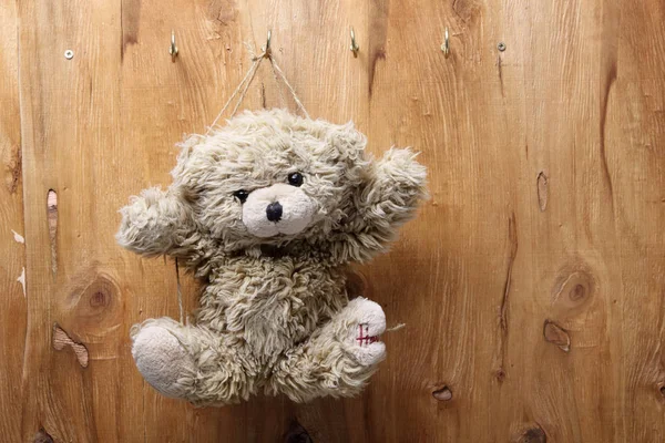 Ein Teddybär — Stockfoto