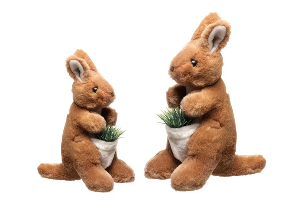 Paar van Pasen Bunnies — Stockfoto