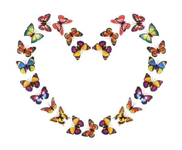 纸蝴蝶在心脏形状 — 图库照片