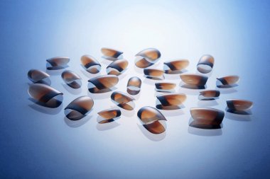 Sahte Akrilik Tırnaklar 