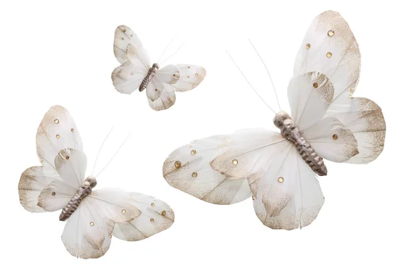 Mariposas Sobre Fondo Blanco — Foto de Stock