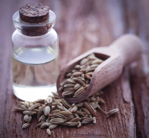 Graines Fenouil Huile Essentielle Dans Une Bouteille Surface Naturelle — Photo