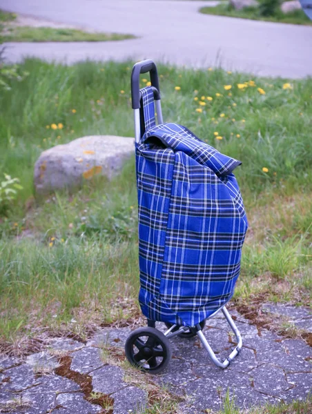 Bolsa Azul Carrito Compras Manteniendo Aire Libre — Foto de Stock