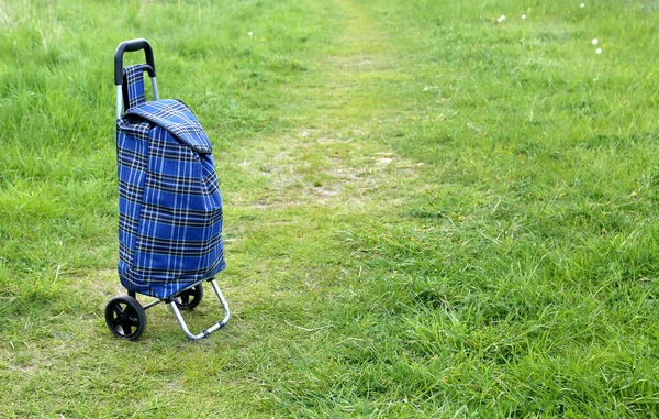 Borsa Carrello Shopping Blu Mantenere All Aperto — Foto Stock