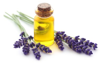 Beyaz arka plan üzerinde çiçek ile lavanta yağı