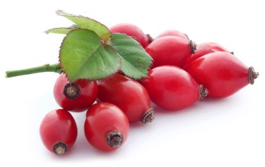 Beyaz arka plan üzerinde tıbbi Rose HIPS