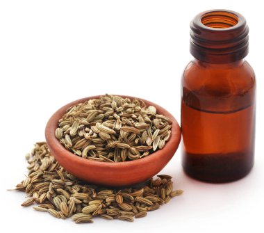 Rezene tohum önemli petrol beyaz arka plan üzerine bir şişe ile