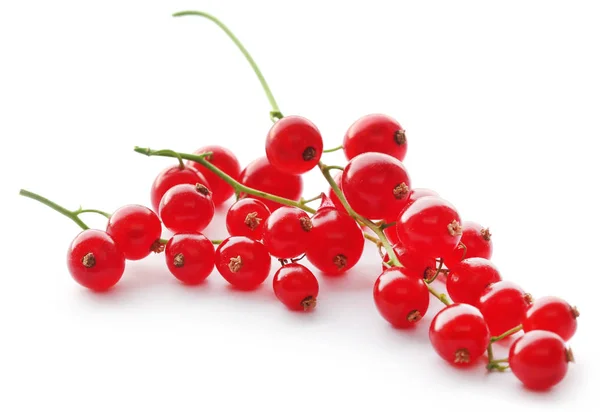 Ribes Rosso Fresco Sfondo Bianco — Foto Stock