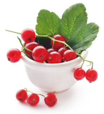 Beyaz arka plan üzerinde taze kırmızı kuş üzümü