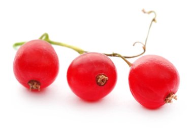 Beyaz arka plan üzerinde taze kırmızı kuş üzümü