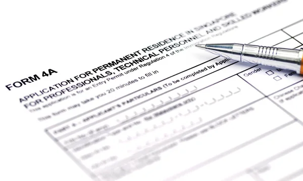 Visa Application Form Details Ballpoint — Stock Photo, Image