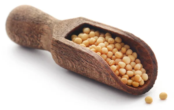 Golden Mustard Seeds Wooden Scoop White Background — Stock Photo, Image