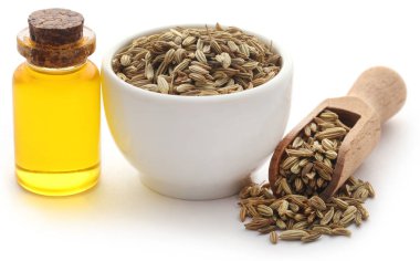 Rezene tohum önemli petrol beyaz arka plan üzerine bir şişe ile