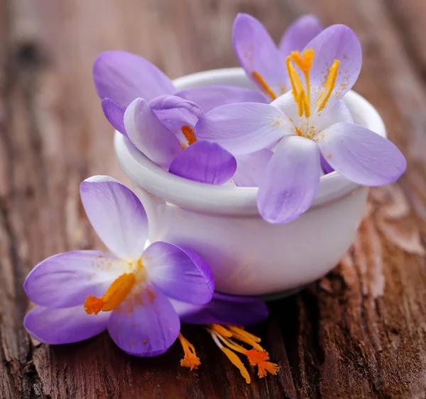 Шафрановый Цветок Крокус Чаше Деревянной Поверхности — стоковое фото