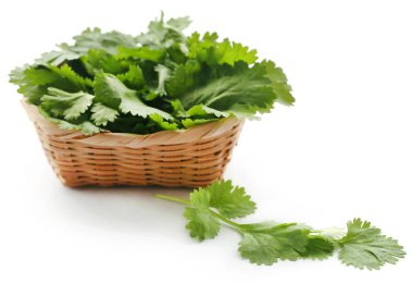 Taze kişniş bir sepet içinde beyaz arka plan üzerinde bırakır.