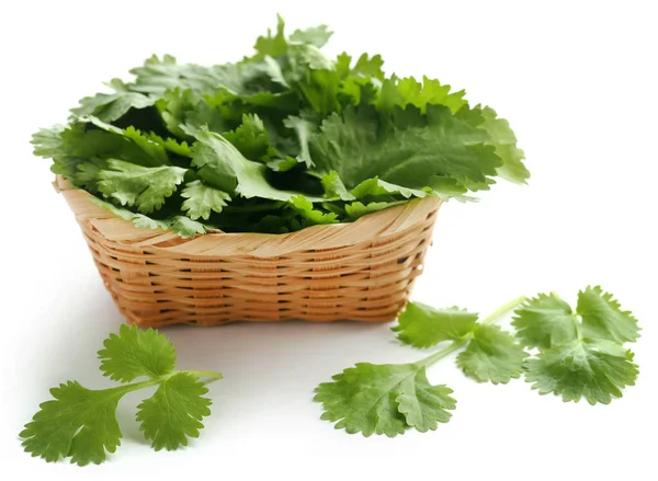 Feuilles Coriandre Fraîche Dans Panier Sur Fond Blanc — Photo