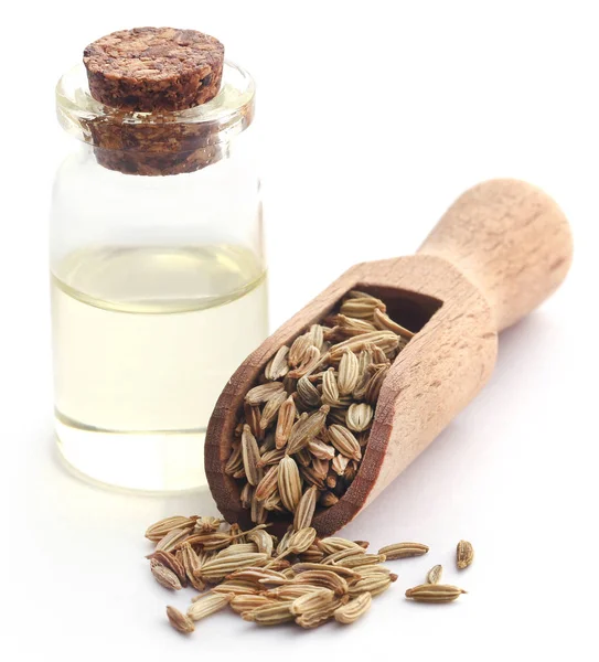 Fennel Seeds Essential Oil Bottle White Background — Stock Photo, Image