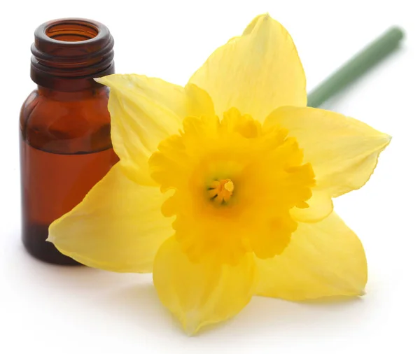 Bloem Narcis Met Etherische Olie Een Glazen Fles Witte Achtergrond — Stockfoto