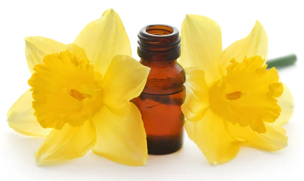 Bloem Narcis Met Etherische Olie Een Glazen Fles Witte Achtergrond — Stockfoto