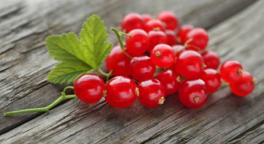 Ahşap yüzey üzerinde taze kırmızı kuş üzümü