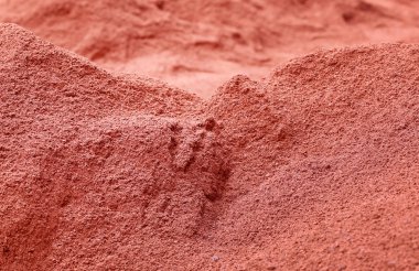 İş inşa sonra kırmızı tuğla tozu