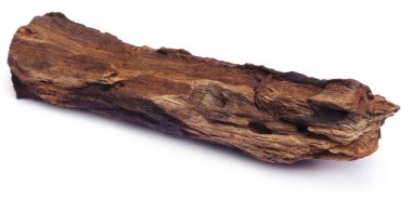 Beyaz arka plan üzerinde izole bogwood