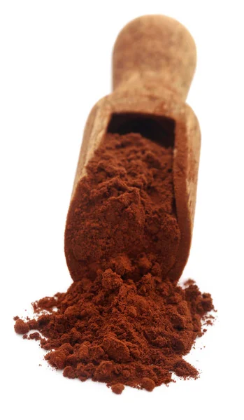 Polvo Cacao Con Cuchara Sobre Fondo Blanco — Foto de Stock