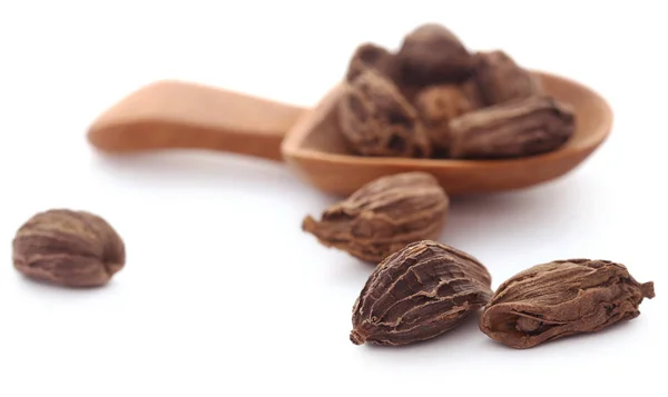 Cardamome Noire Dans Une Cuillère Bois Sur Blanc — Photo