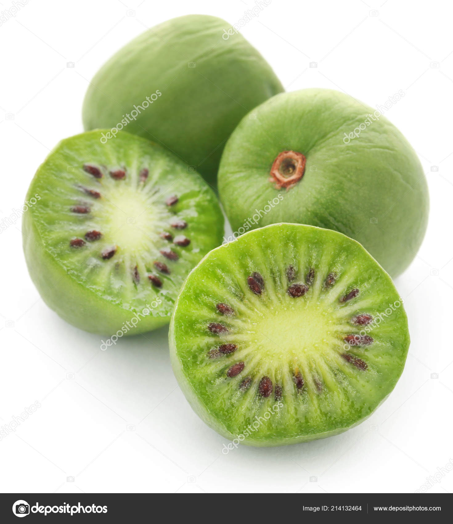 Actinidia Arguta Conhecida Como Kiwi Bebe Copenhague Dinamarca Fotos Imagens De C spn74 Actinidia Arguta Conhecida Como Kiwi Bebe Copenhague Dinamarca Fotos Imagens De C spn74