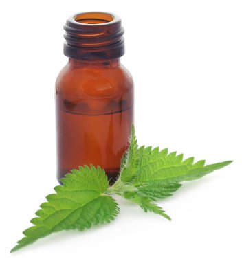 Isırgan yaprağı özü beyaz arka plan üzerine bir şişe ile