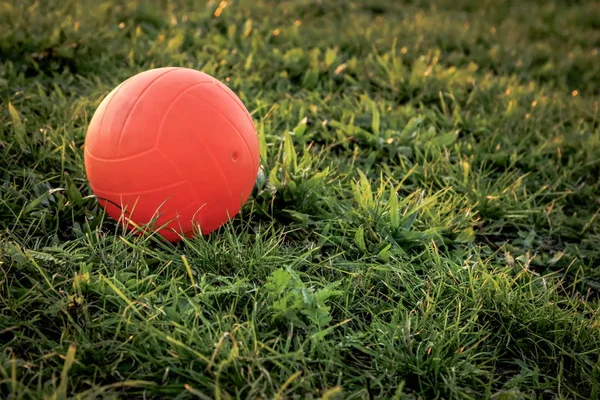 Voleibol Playa Sobre Hierba Verde Otoño —  Fotos de Stock