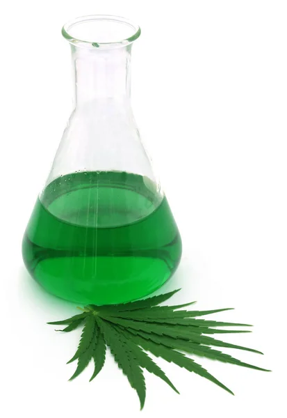 Cannabis Leaves Extract Conical Flask White Background — Stock Photo, Image
